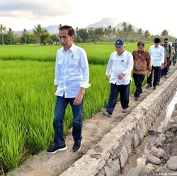 Darurat Sawah Bikin RI Terpaksa Impor Beras