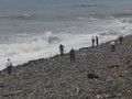 VIDEO: Laporan MH370 Tak Beri Titik Terang Keberadaan Pesawat