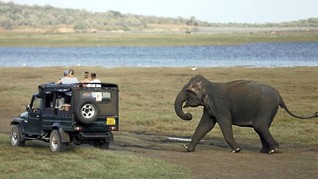 9 Alasan Berkunjung ke Sri Lanka