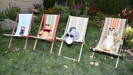 FOTO: Menyambut 'Winnie the Pooh' Jadi Nyata