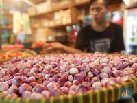Prabowo-Sandi Janjikan Borong Bawang Merah Rp 15.000/Kg