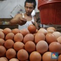 Harga Cabai Sampai Daging Turun Berjamaah, Ada Apa?