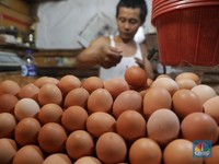 Biang Kerok Inflasi Juli: Ayam dan Telur