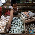 Konsensus Pasar: Inflasi Juni 2019 Capai 0,46%