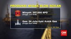 Blok Rokan, Ladang Minyak Terbesar