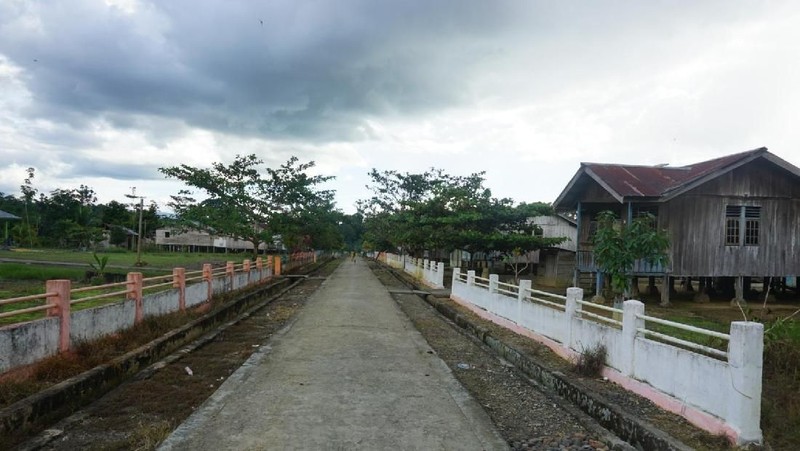 Dalam ekspedisi ini, pihak PLN menargetkan untuk melakukan penerangan ke 416 desa di Papua dari jumlah target 1.200 desa hingga akhir tahun.