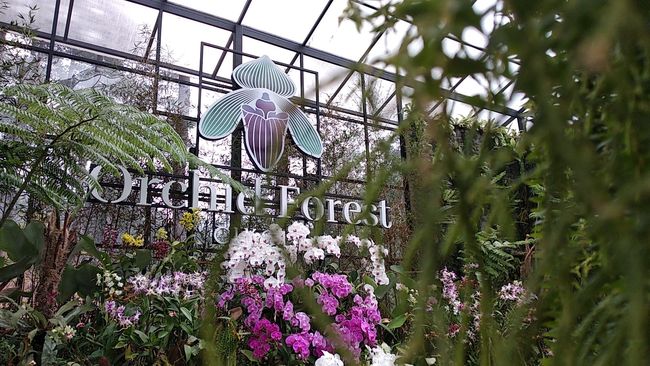 Orchid Forest Cikole Destinasi Wisata Alam Di Lembang Orchid Forest Cikole Destinasi Wisata Alam Di Lembang