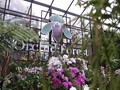 Orchid Forest Cikole, Destinasi Wisata Alam di Lembang