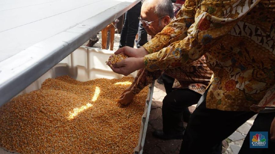 Pemerintah memutuskan untuk menambah kuota impor jagung kering untuk pakan ternak sebanyak 30 ribu ton.
