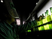 Minuman Alkohol Dilarang, Saham-saham Produsen Bir Rontok!