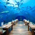 Ingin Liburan? Coba Hotel Aquarium Bawah laut di Maldives Ini