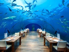 Ingin Liburan? Coba Hotel Aquarium Bawah laut di Maldives Ini