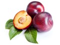 5 Khasiat Buah Plum untuk Cegah Penyakit