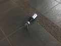 Istri Kapitra Diperiksa Polisi Terkait Bom Molotov