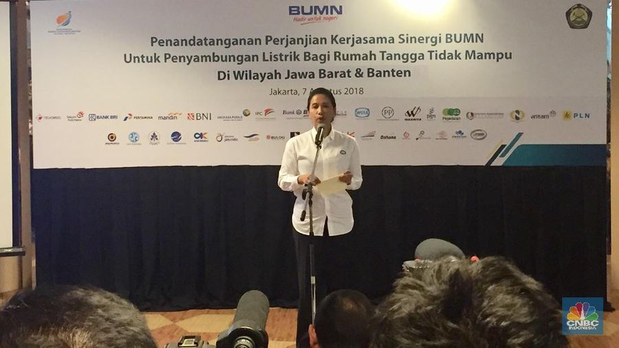 Menteri Rini jamin kebijakan tahan impor tak ganggu kinerja PLN-Pertamina 