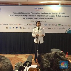 Menteri Rini Ajak BUMN-Swasta Berpartner, Ini Skemanya