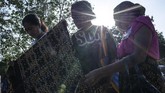 Setiap hari Selasa, pasar Alok berubah wajah menjadi pasar tenun ikat bagi pengrajin seantero Kabupaten Sikka dan daerah lainnya. (ANTARA FOTO/Aprillio Akbar)