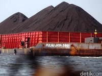 Laba 2018 Melejit 151%, Transcoal Sebar Dividen Rp 80 M