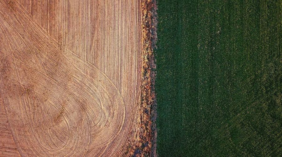 An irrigated paddock can be seen next to a ploughed paddock on a farm located on the outskirts of the town of Mudgee in New South Wales, Australia, July 18, 2018. REUTERS/David Gray    SEARCH 