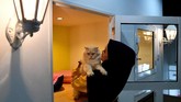 Tak hanya fasilitas, perlakuan istimewa pun diberikan oleh para pelayanan untuk sang majikan kecil ini.