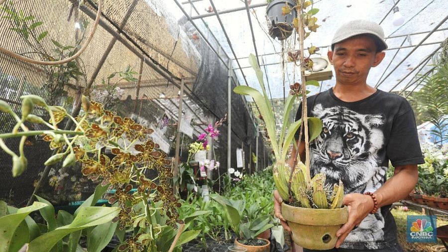 Pameran Flora dan Fauna (FLONA 2018). dengan tema Synergreen (Synergy Energy Greenery) berlangsunhg hingga 18 September 2018