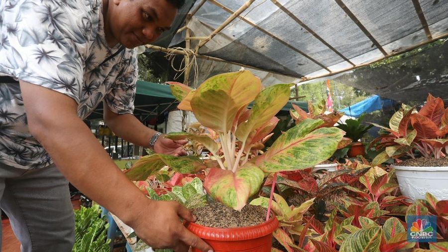 Pameran Flora dan Fauna (FLONA 2018). dengan tema Synergreen (Synergy Energy Greenery) berlangsunhg hingga 18 September 2018