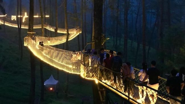 Orchid Forest, Wisata Hutan yang Sangat Instagramable