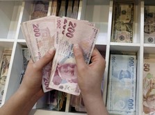 Kata Pengusaha Soal Jatuhnya Lira yang Sebabkan Krisis Turki