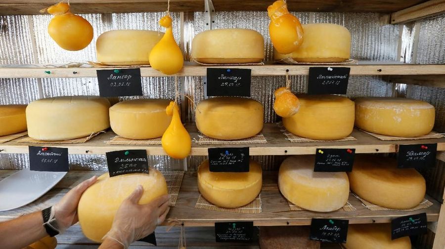 Alexey Dubovets turns a wheel of cheese at a storehouse of his family dairy and cheese farm in the Siberian village of Sizaya, south of Krasnoyarsk, Russia August 8, 2018. Picture taken August 8, 2018. REUTERS/Ilya Naymushin