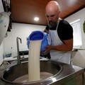 Terungkap! RI Diam-Diam Impor Susu dari Malaysia, Nilainya Jumbo