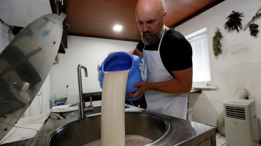 Alexey Dubovets pours milk during cheese making at his family dairy and cheese farm in the Siberian village of Sizaya, south of Krasnoyarsk, Russia August 8, 2018. Picture taken August 8, 2018. REUTERS/Ilya Naymushin