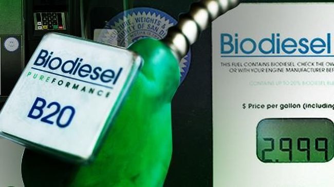 Harga Indeks Pasar Biodiesel Juli 2019 Naik Jadi Rp6 970