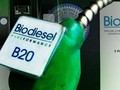 Meski di Bawah Target, B20 Tekan Impor Minyak US$1,66 Miliar
