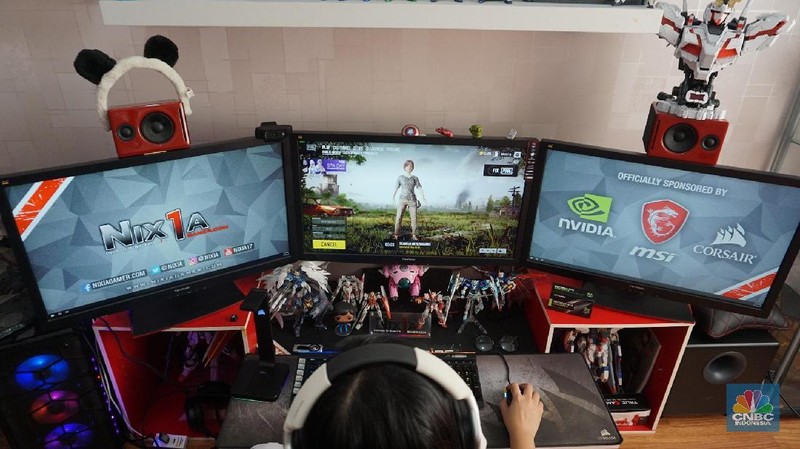 Kini ia menjadi salah satu gamer profesional Indonesia.