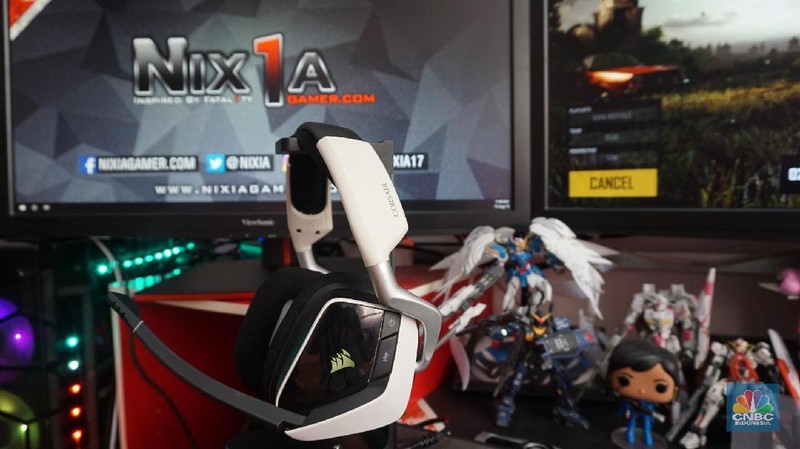 Kini ia menjadi salah satu gamer profesional Indonesia.