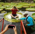 Siapa Mau? Taiwan Mau Kasih Duit buat Turis Asing yang Datang