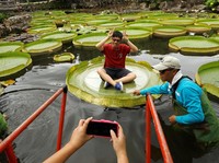 Siapa Mau? Taiwan Mau Kasih Duit buat Turis Asing yang Datang