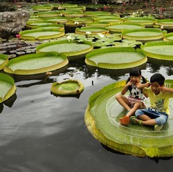 10 Negara Paling Bahagia di Asia 2025, Ada Indonesia?