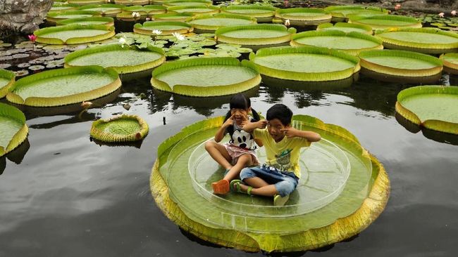 10 Negara Paling Bahagia di Asia 2025, Ada Indonesia?