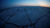 Pada dini hari, para relawan berjalan di atas laguna untuk mengambil flamingo dan menempatkan mereka di dalam sebuah corral di konservasi alam Fuente de Piedra, dekat Malaga, Spanyol Selatan. (REUTERS/Jon Nazca)