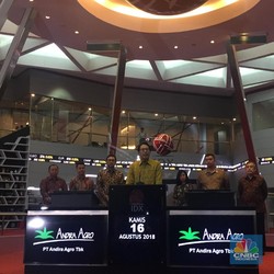 Baru Diperdagangkan Tiga Hari, Saham ANDI Naik 165%