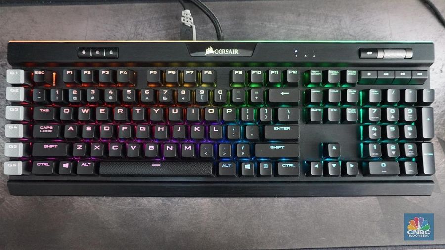 Kini ia menjadi salah satu gamer profesional Indonesia.