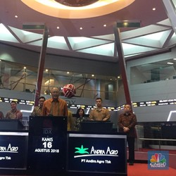 Resmi Masuk Saham Syariah, Eh...Saham ANDI Malah Disuspensi