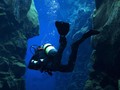 5 Destinasi Menyelam dengan Pemandangan Ajaib