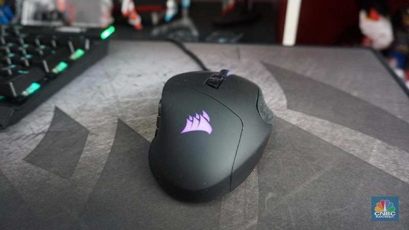 Kini ia menjadi salah satu gamer profesional Indonesia.