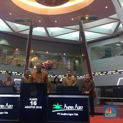 Terus Bergerak Liar, Saham ANDI Sudah Naik 452,5%