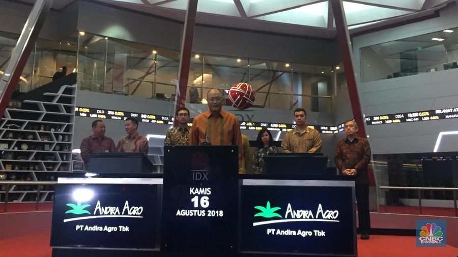 Sejak awal dicatatkan di Bursa Efek Indonesia, Kamis 16/08/2018, harga saham ANDI terus naik signifikan.