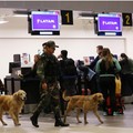 Kolumbia akan Isolasi Diri, Corona Bikin Amerika Latin Panik