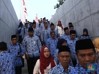 Cari Lowongan Kerja? Ada Banyak Lowongan CPNS!