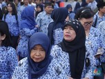 Ternyata Jadi PPPK Nggak Kalah Lho dengan PNS